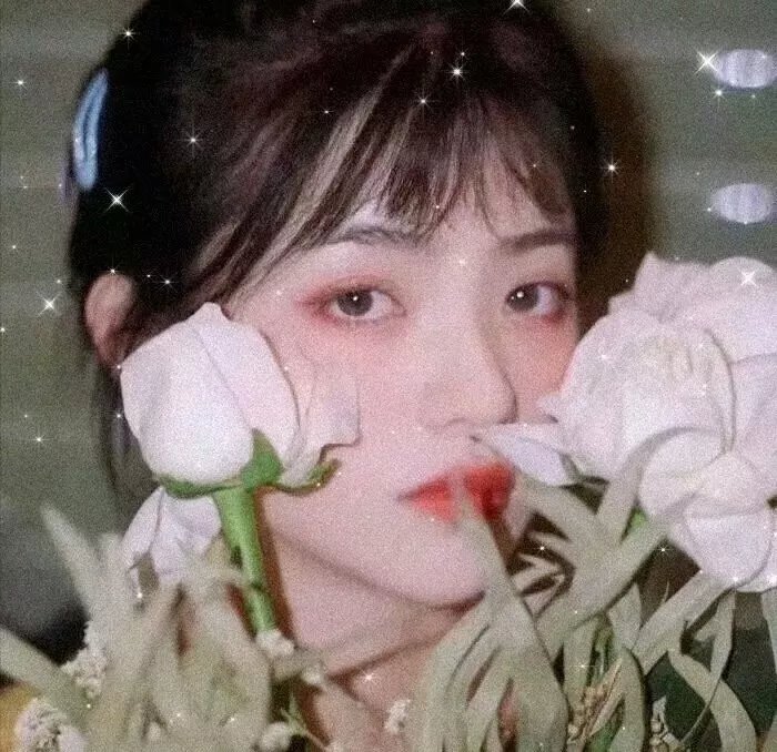 败犬女王粤语